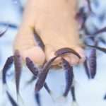 Kangal fish. Closeup of a woman getting a therapeutic fish spa treatment - Thailand.
