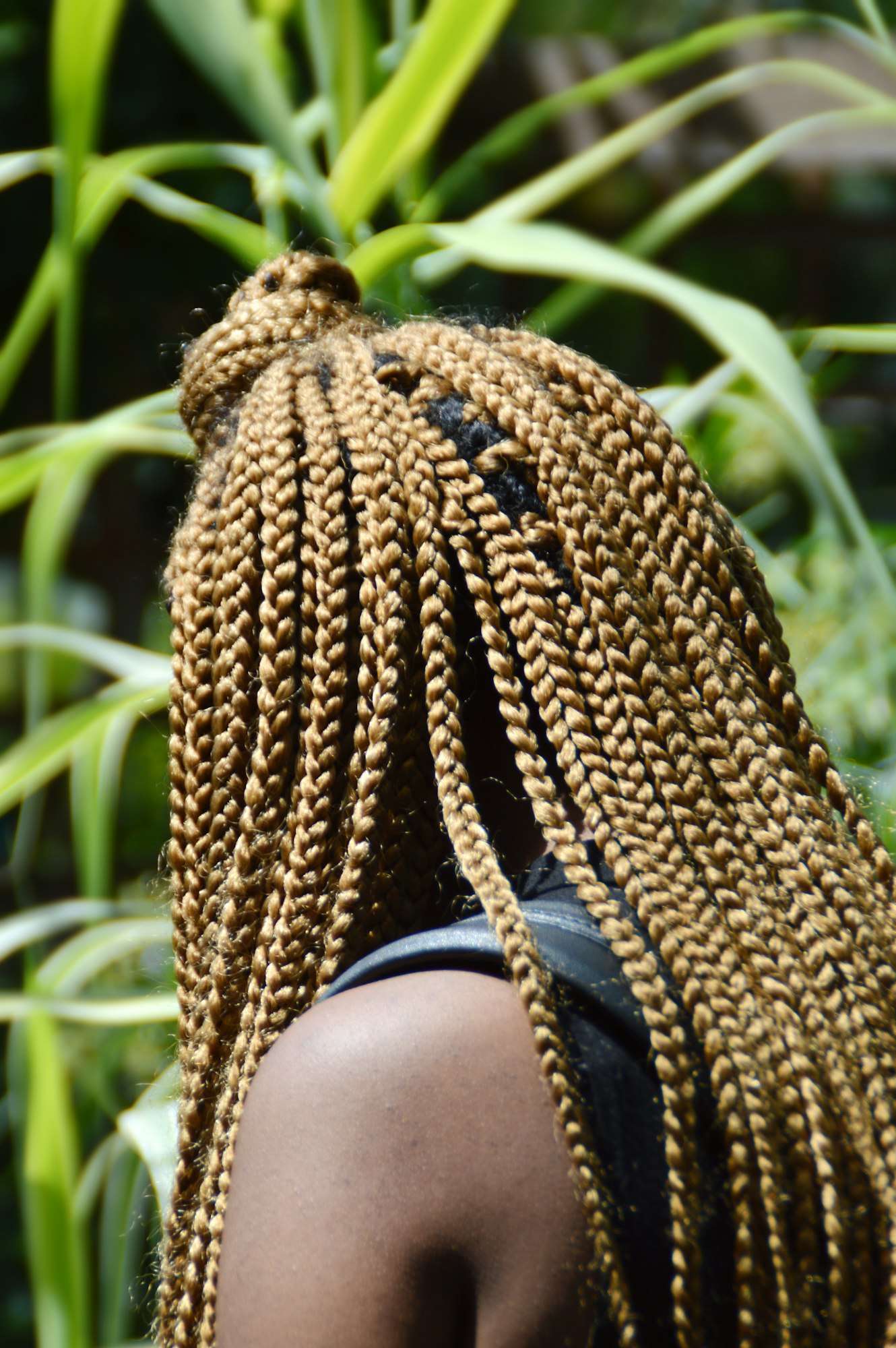 Rear portrait of an Afro-American woman with braids